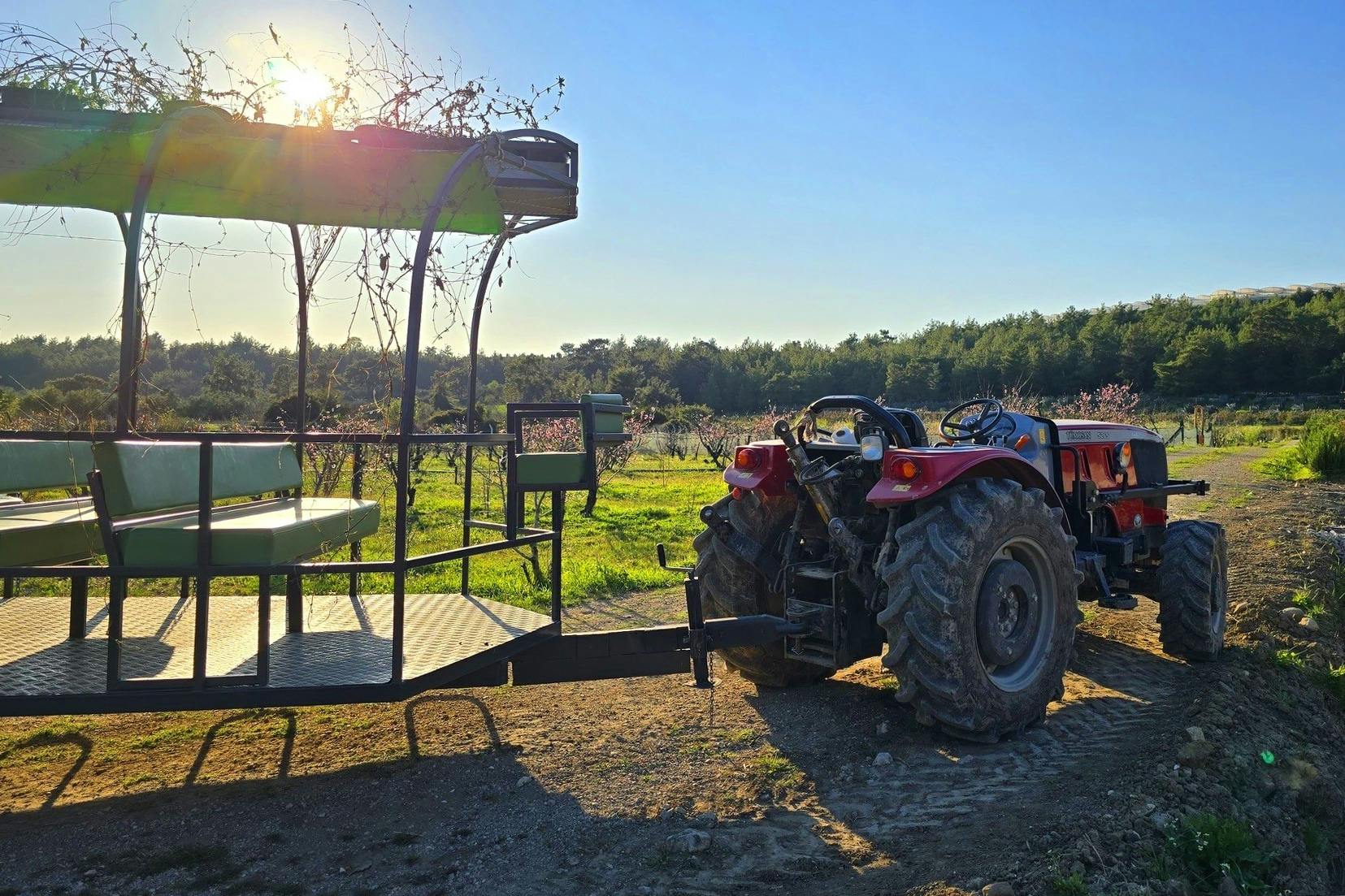 Organic farm visit with local lunch and trailer ride in Turkey