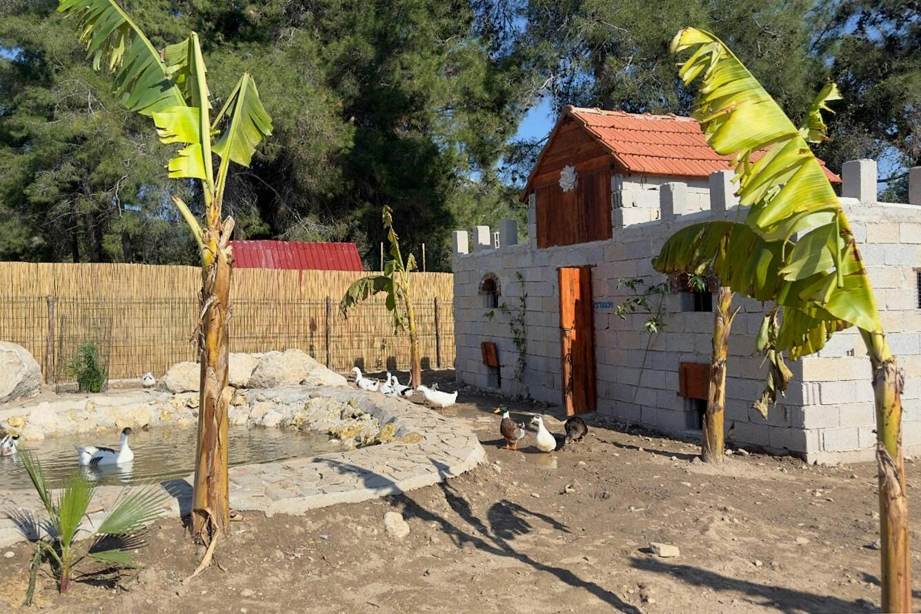 Organic farm visit with local lunch and trailer ride in Turkey