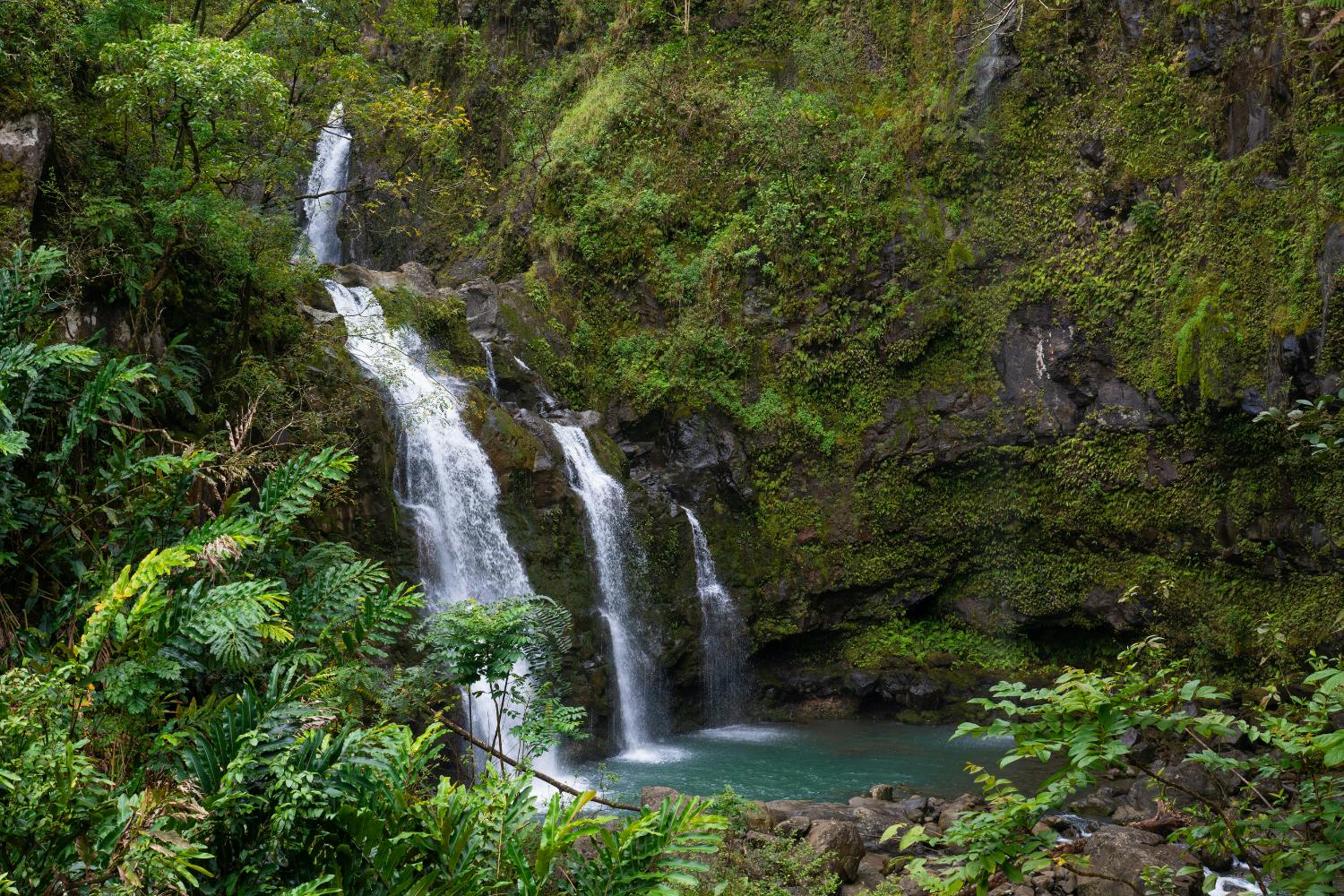 202609226ab25b3805f40.png