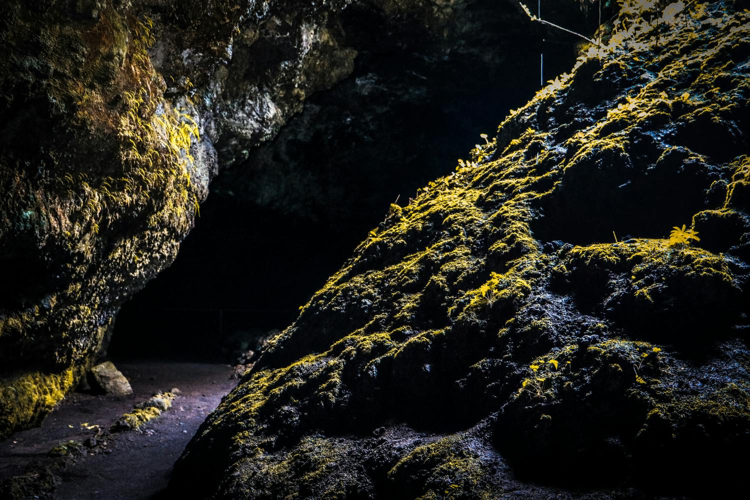202609226ab25b37e7770.png