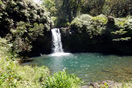 202609226ab25b3807c30.png