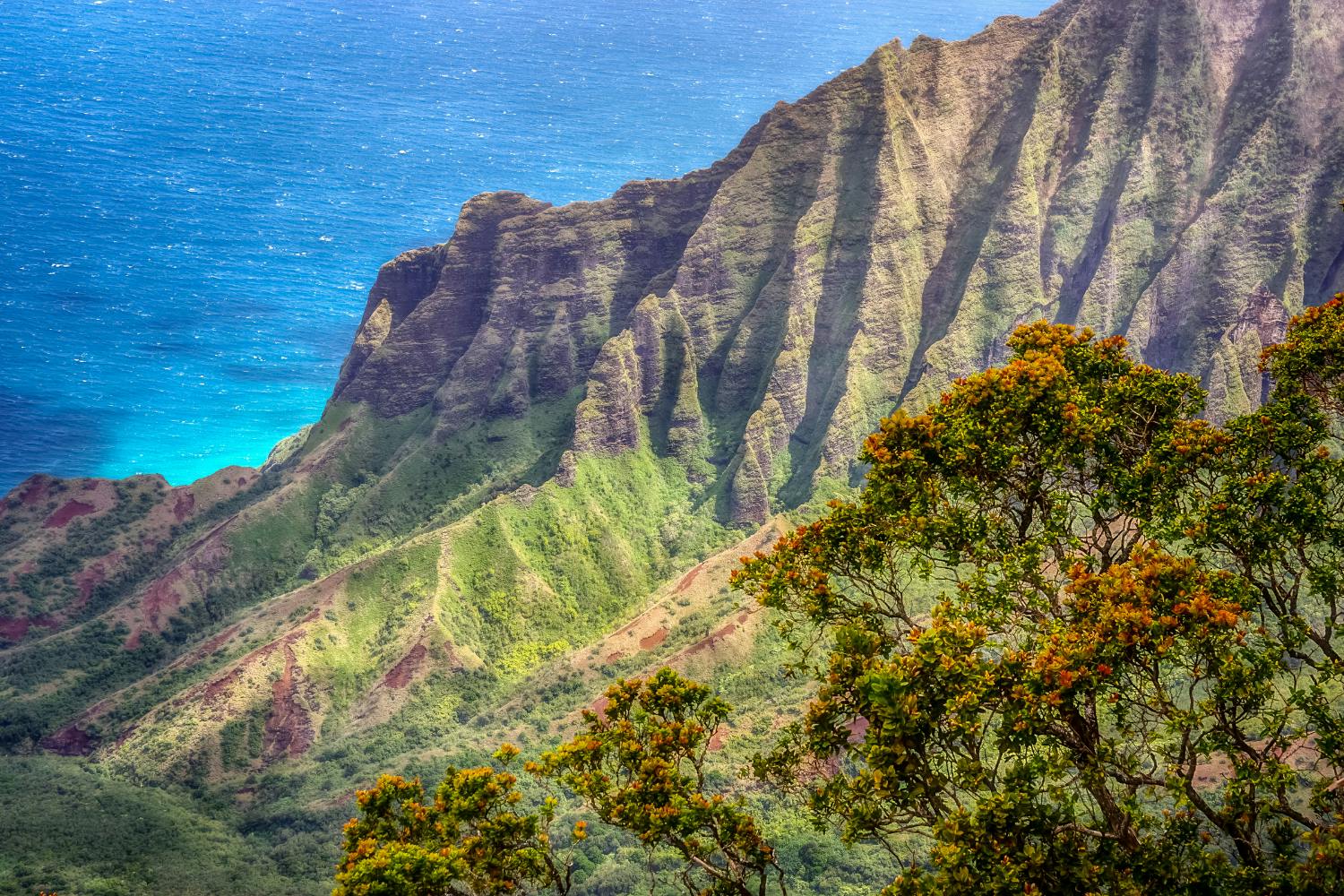 202609226ab26227c9f99.png
