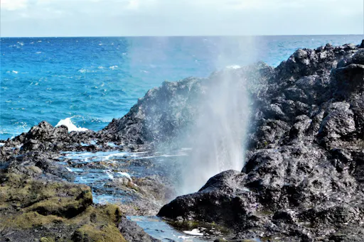 202609226ab2640f1a646.png