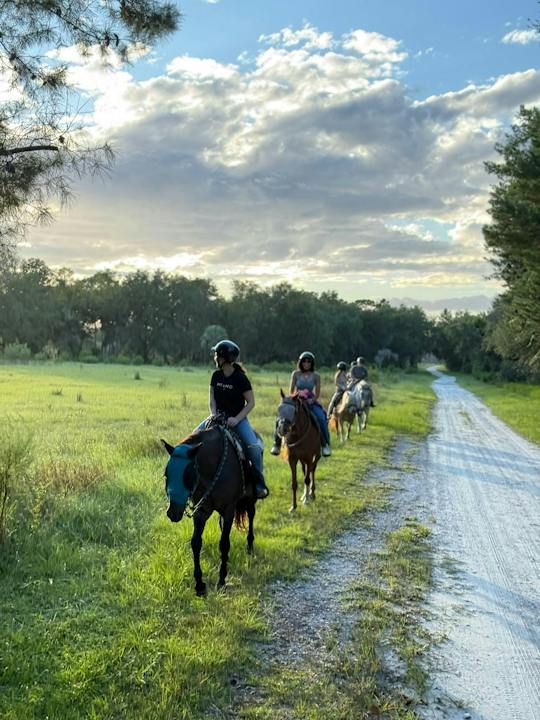 2-hour Central Florida forest horseback ride for all levels