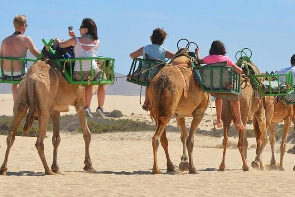 e-Scooter step city sightseeing tour and Maspalomas dunes by camel
