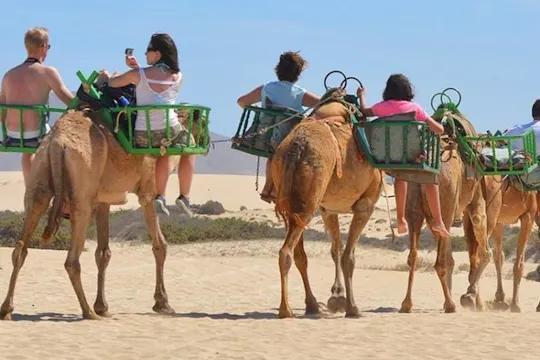 Stadtrundfahrt mit dem E-Scooter und Kamelritt zu den Dünen von Maspalomas