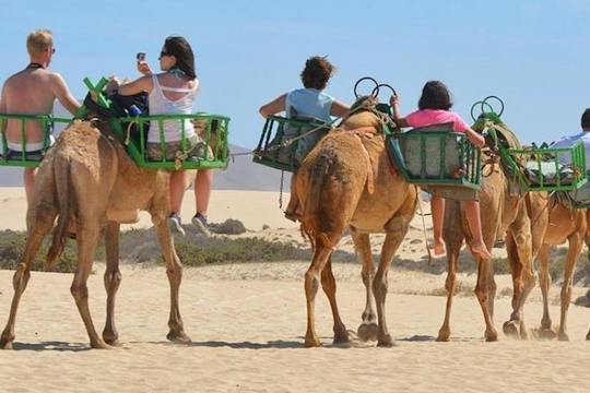 e-Scooter step city sightseeing tour and Maspalomas dunes by camel