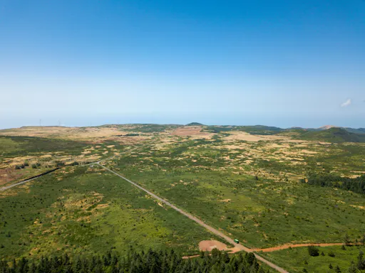 Madeira_Paul_da_Serra_29.jpg