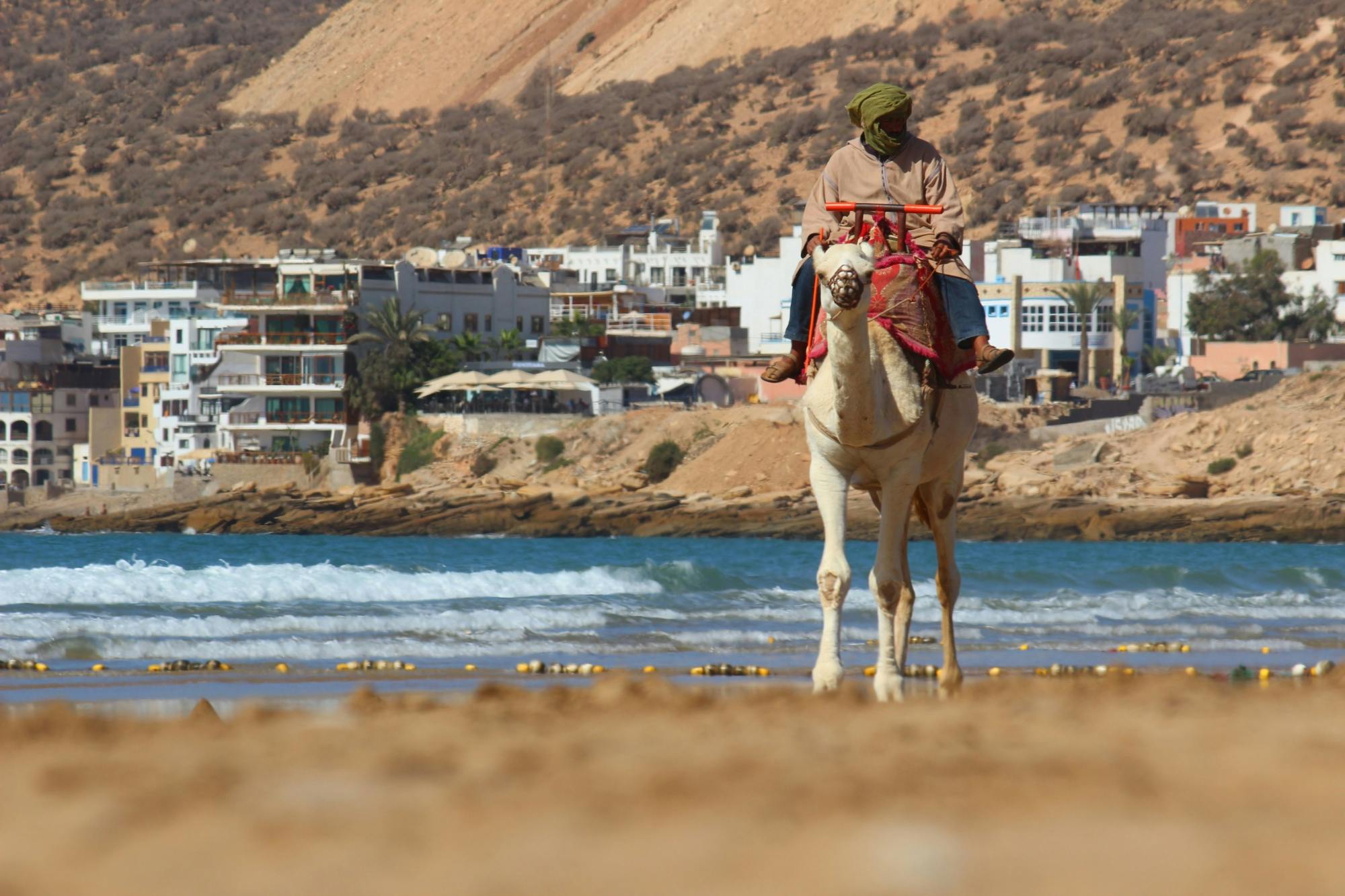 Camel ride in Agadir with pick-up