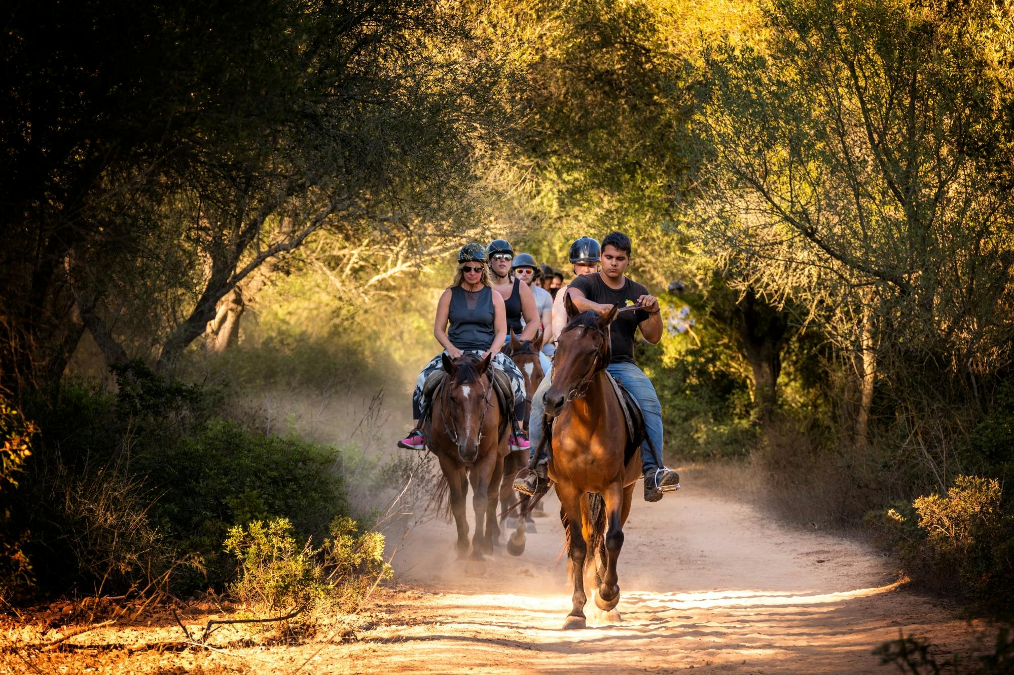 Horse riding in L'Aldosa