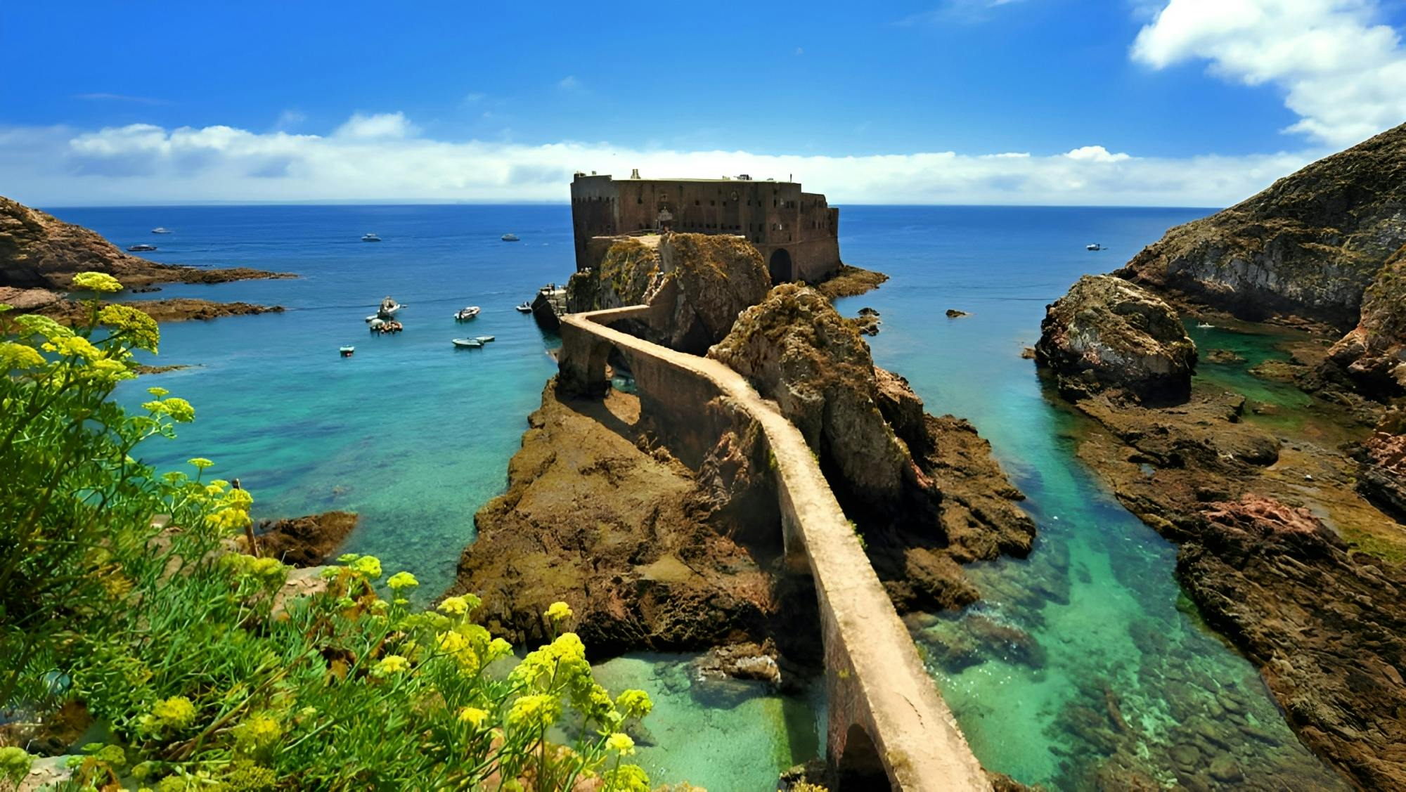 Berlenga Grande island day trip from Lisbon with fort visit