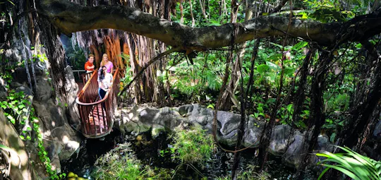 All inclusive admission at Loro Parque for a VIP experience