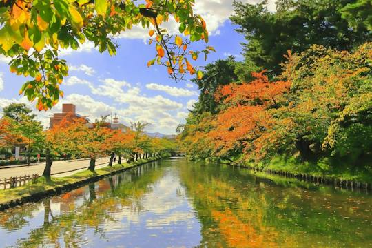 Excursión privada desde Aomori al castillo de Hirosaki y a Apple Hill