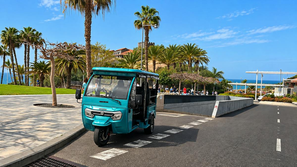 Tuk-tuk-tour langs de zuidkust van Tenerife en uitkijkpunten