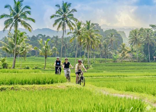 Ganztägige Ubud-Radtour und Wasserfalltour