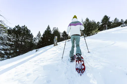 Snowshoeing or tubing and sledding in Pal Arinsal