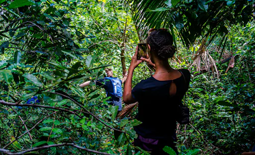 Zanzibar Masingini Forest full-day biking and walking tour