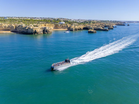Dolphin spotting and Benagil Caves guided boat trip