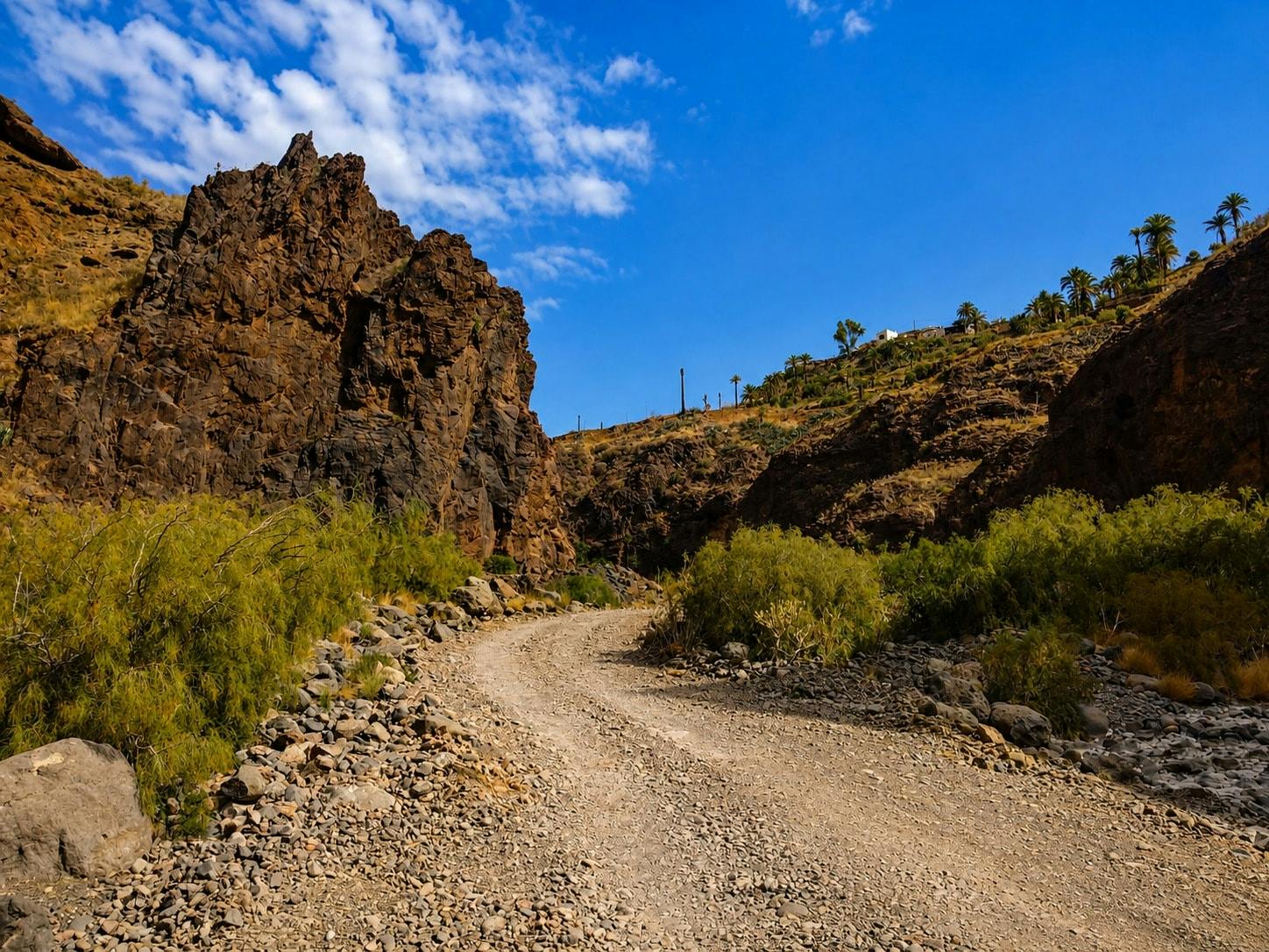 Gran Canaria 4x4 off-road adventure with ecological farm visit