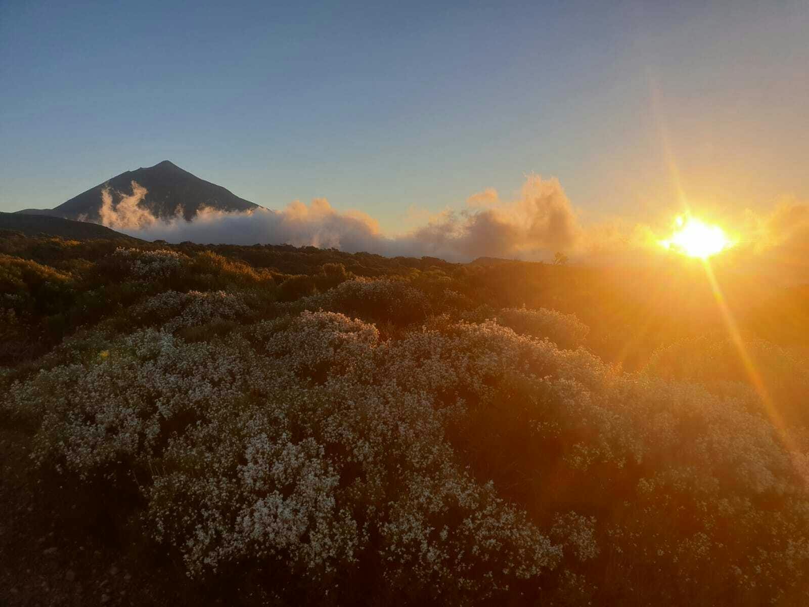 Teide small-group sunset and stargazing experience