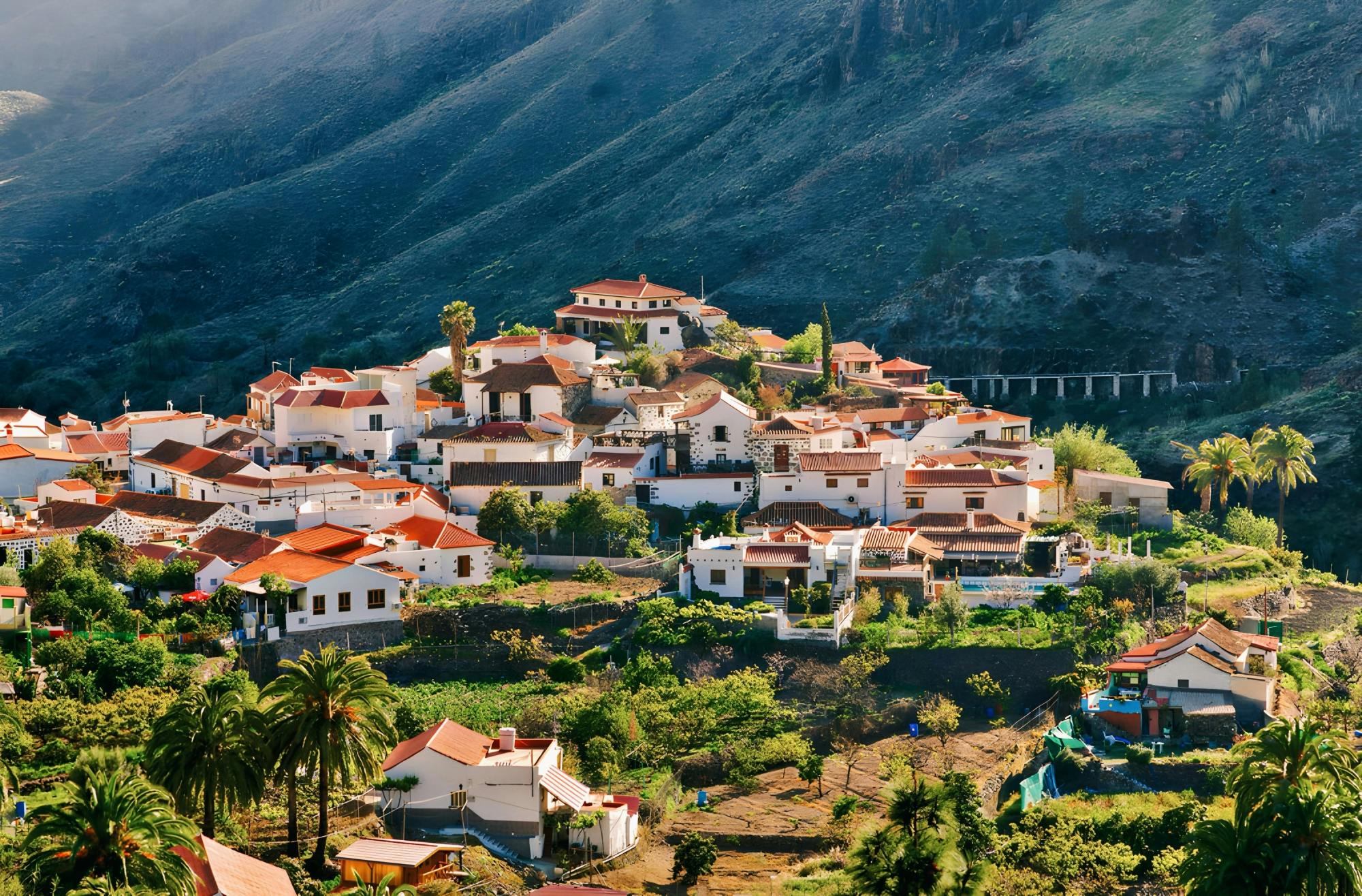 Gran Canaria 4x4 off-road adventure with ecological farm visit