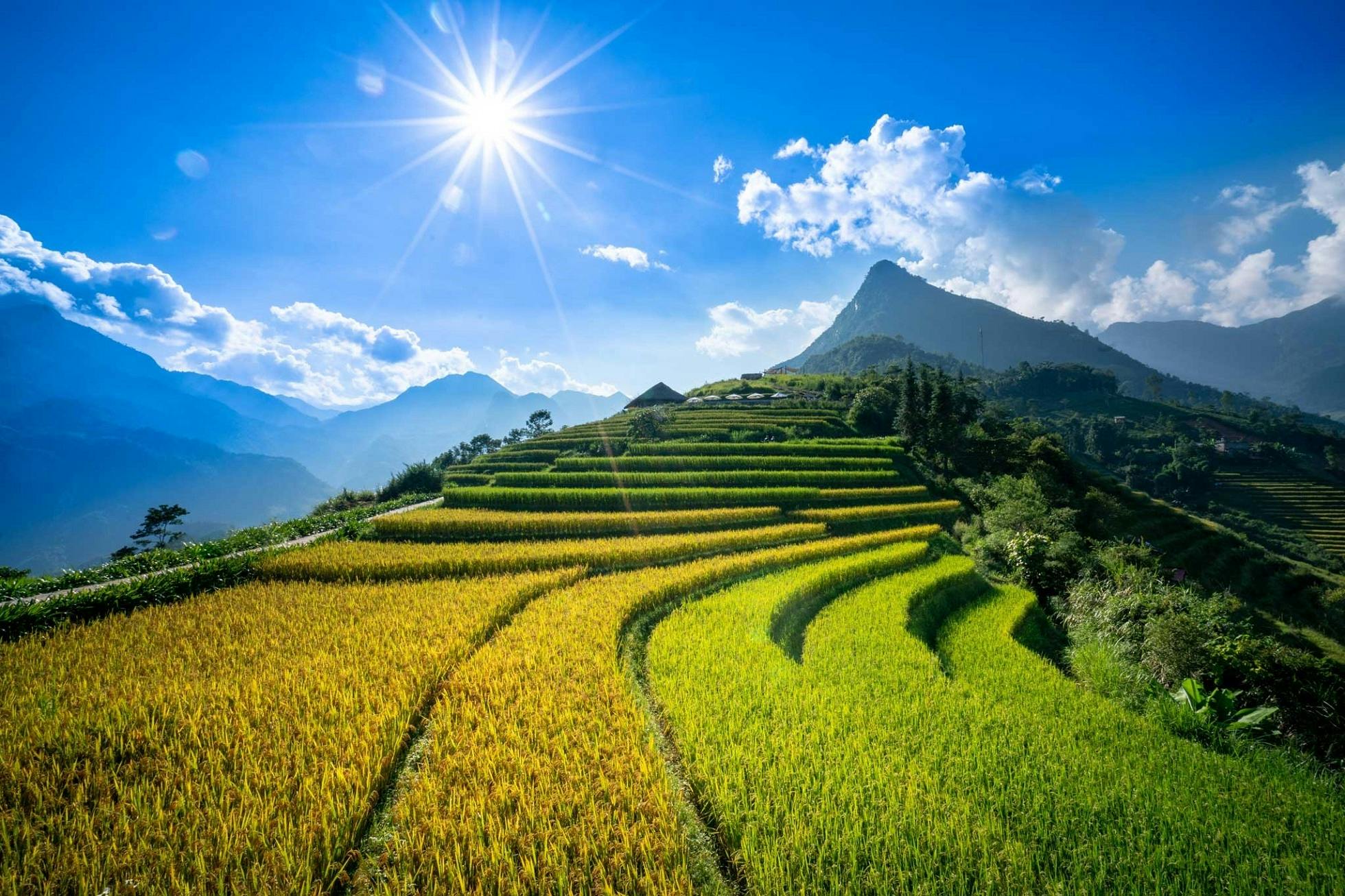 Sapa and Fansipan private 3-day experience with homestay