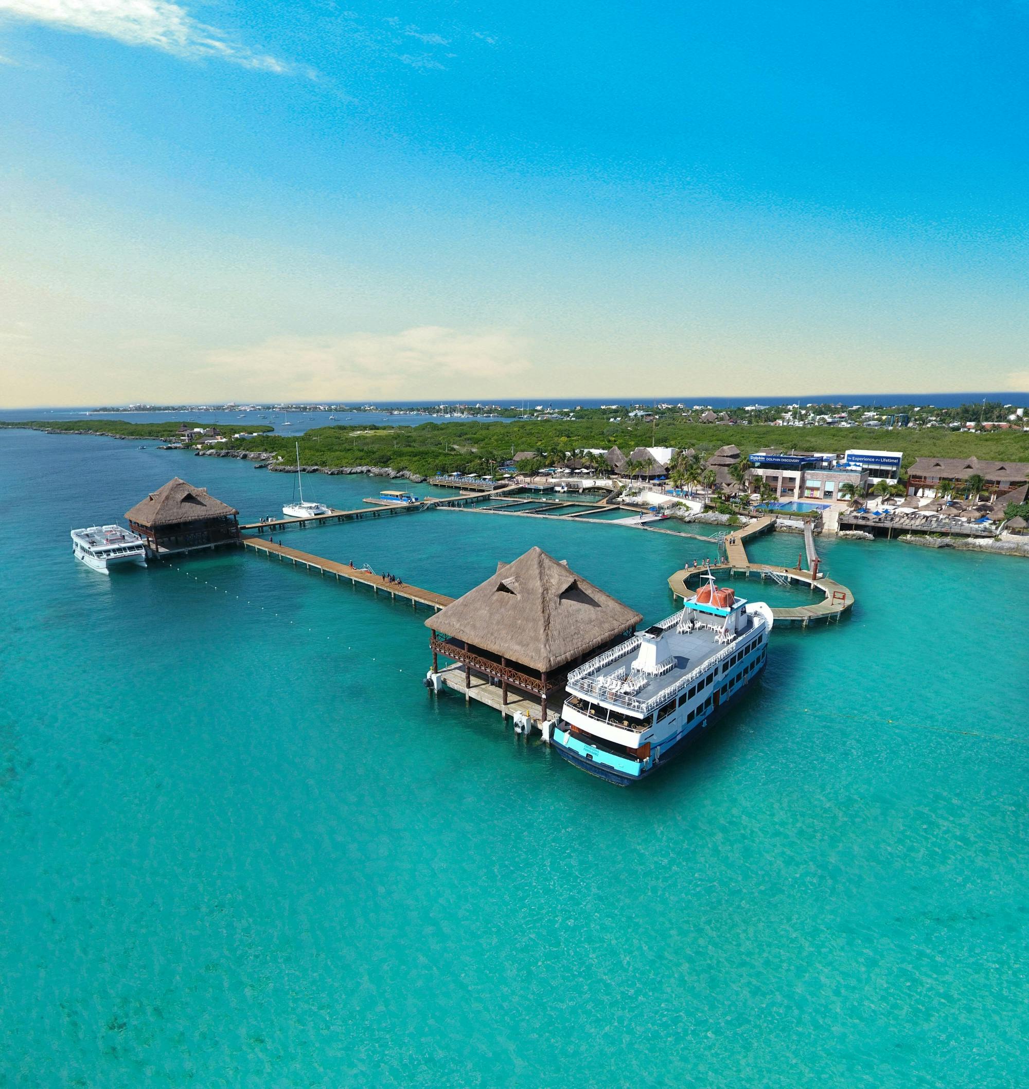 Dolphin encounter ticket at Isla Discovery