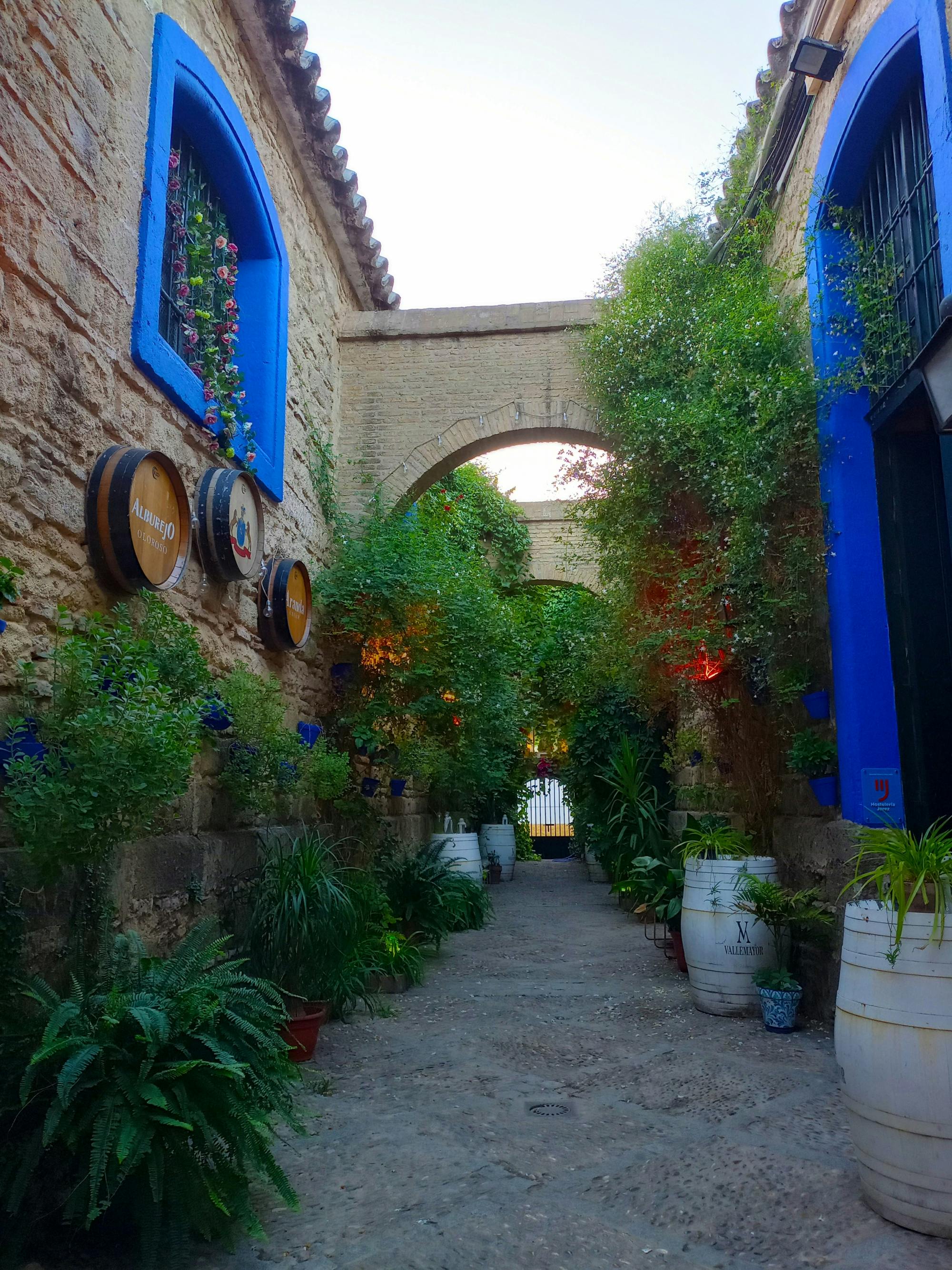 Puro Arte flamenco show and dining experience in Jerez