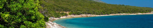 Sazan, Albania