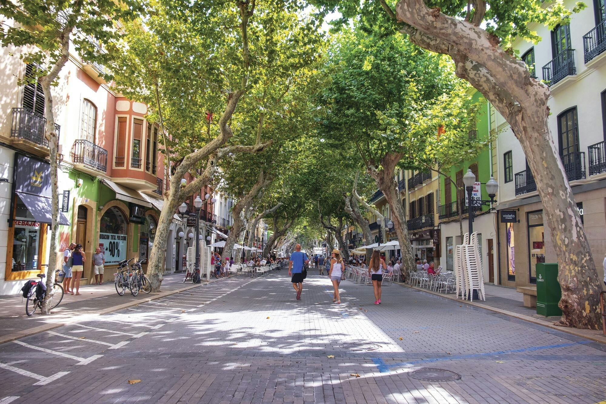 Full-day L’Albarda Gardens visit with free time in Denia