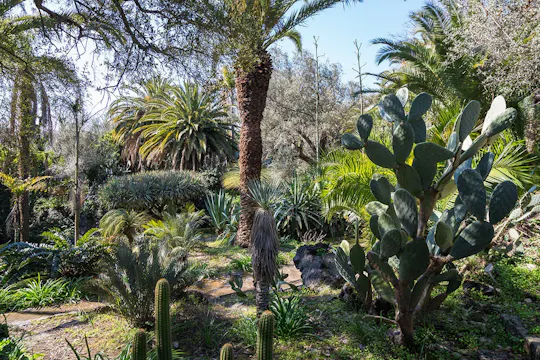 Visita guiada al Parco Paternò del Toscano con picnic opcional