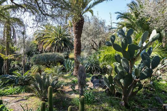Visite guidée du Parco Paternò del Toscano avec pique-nique en option