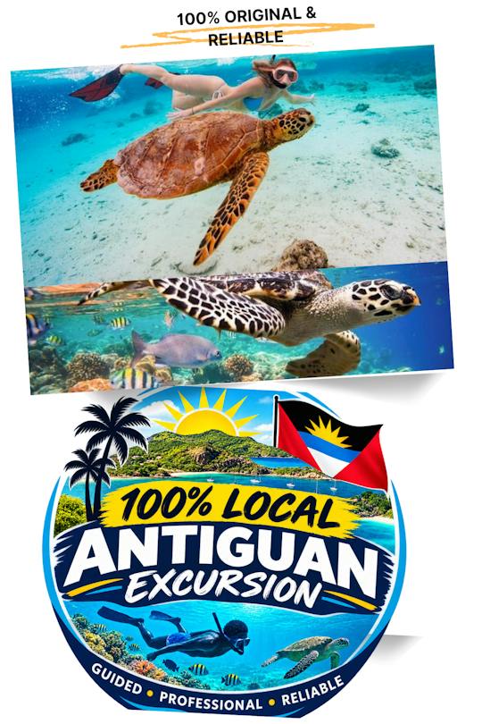 St John's snorkel with sea turtles at Green Island