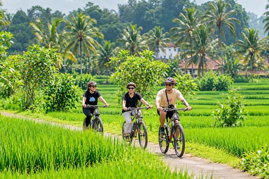 Tour de día completo en bicicleta y cascada en Ubud.