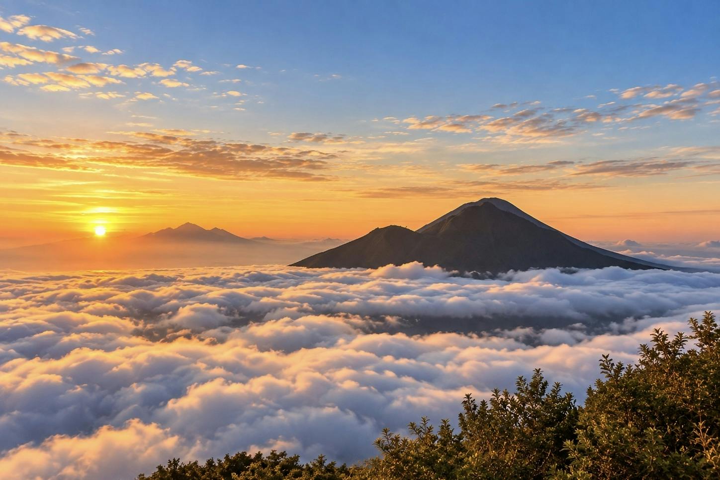 202610056ac3a28fb31d9.jpg