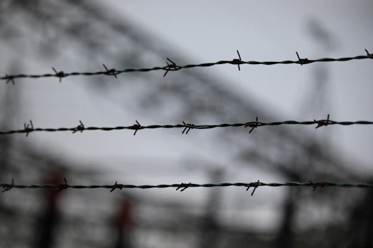 Auschwitz-Birkenau guided tour with pick-up from Krakow