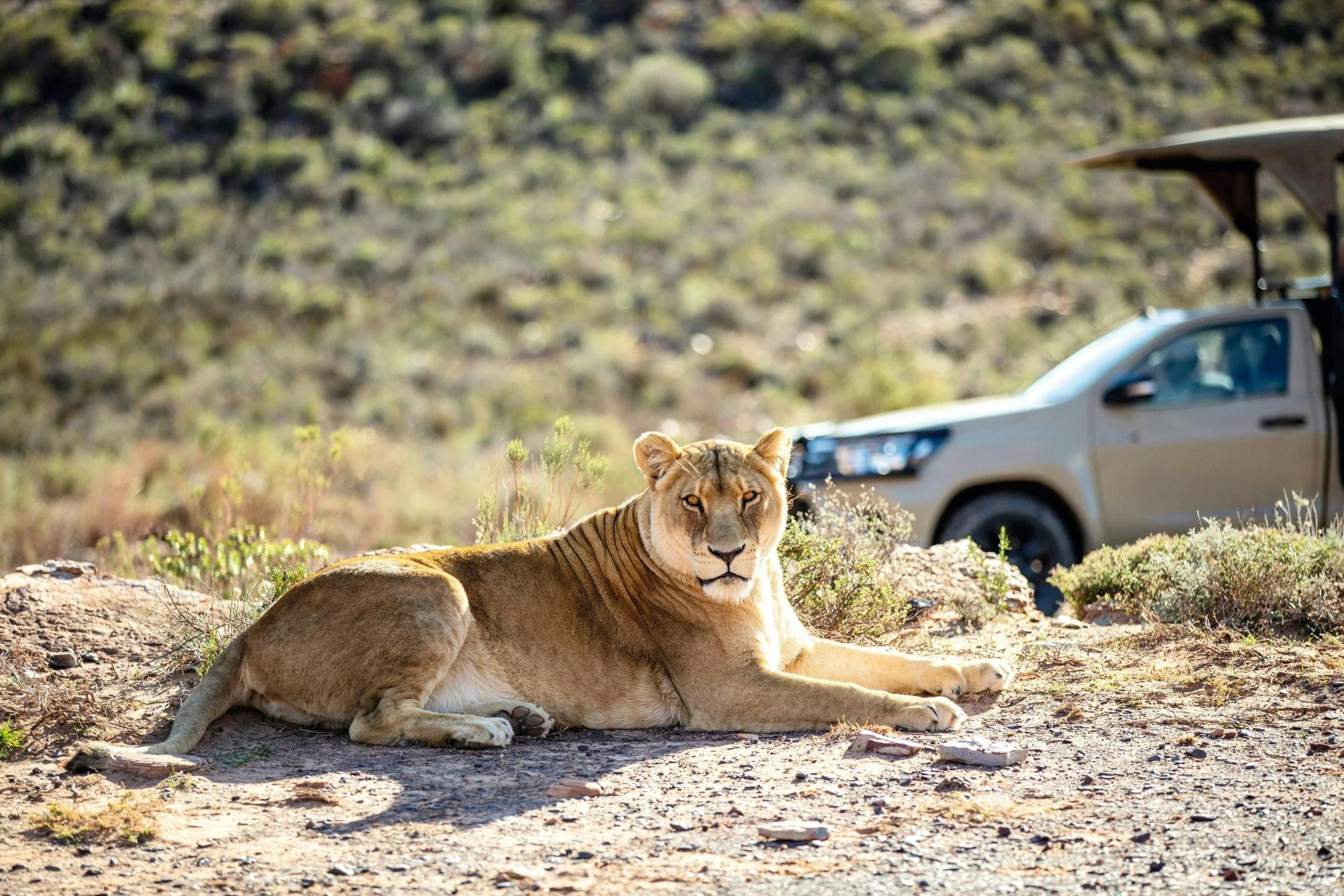 Two-day Chobe safari and Victoria Falls escape