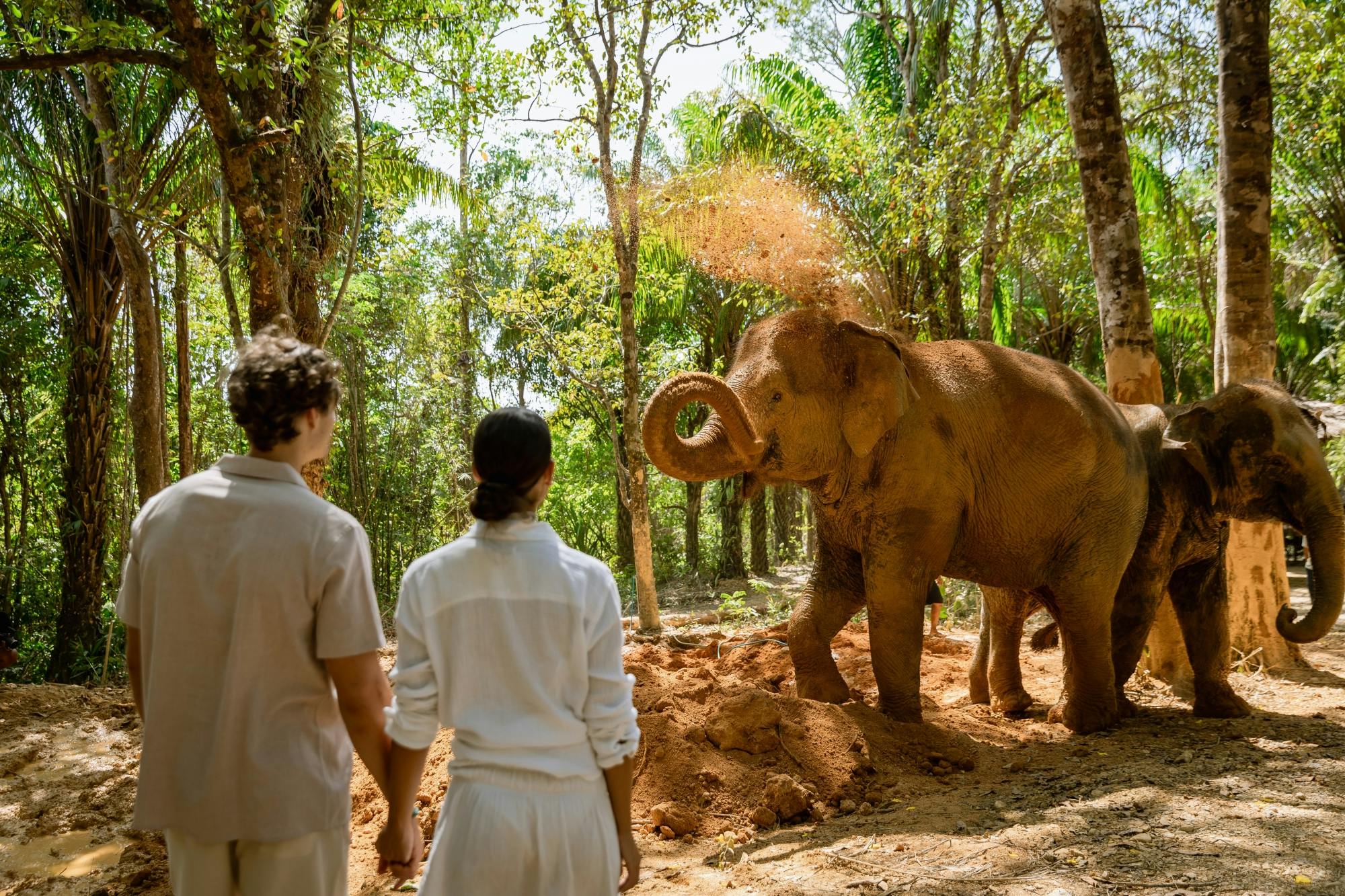 Half-day essence of elephant care experience from Khao Lak