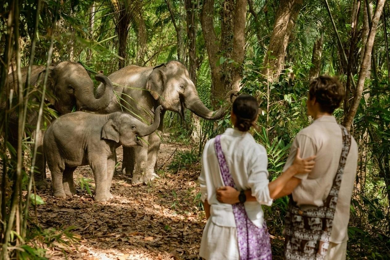 Halbtägiger Ausflug ab Khao Lak: mehr als nur Elefantenpflege