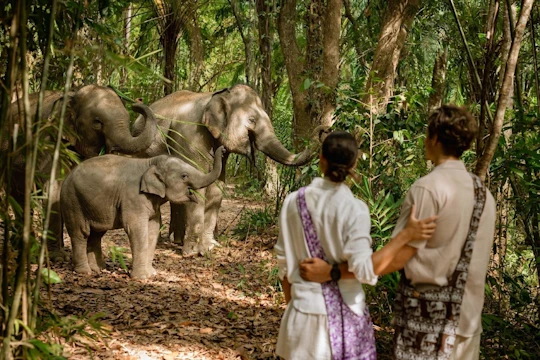 Half-day beyond elephant care experience from Khao Lak