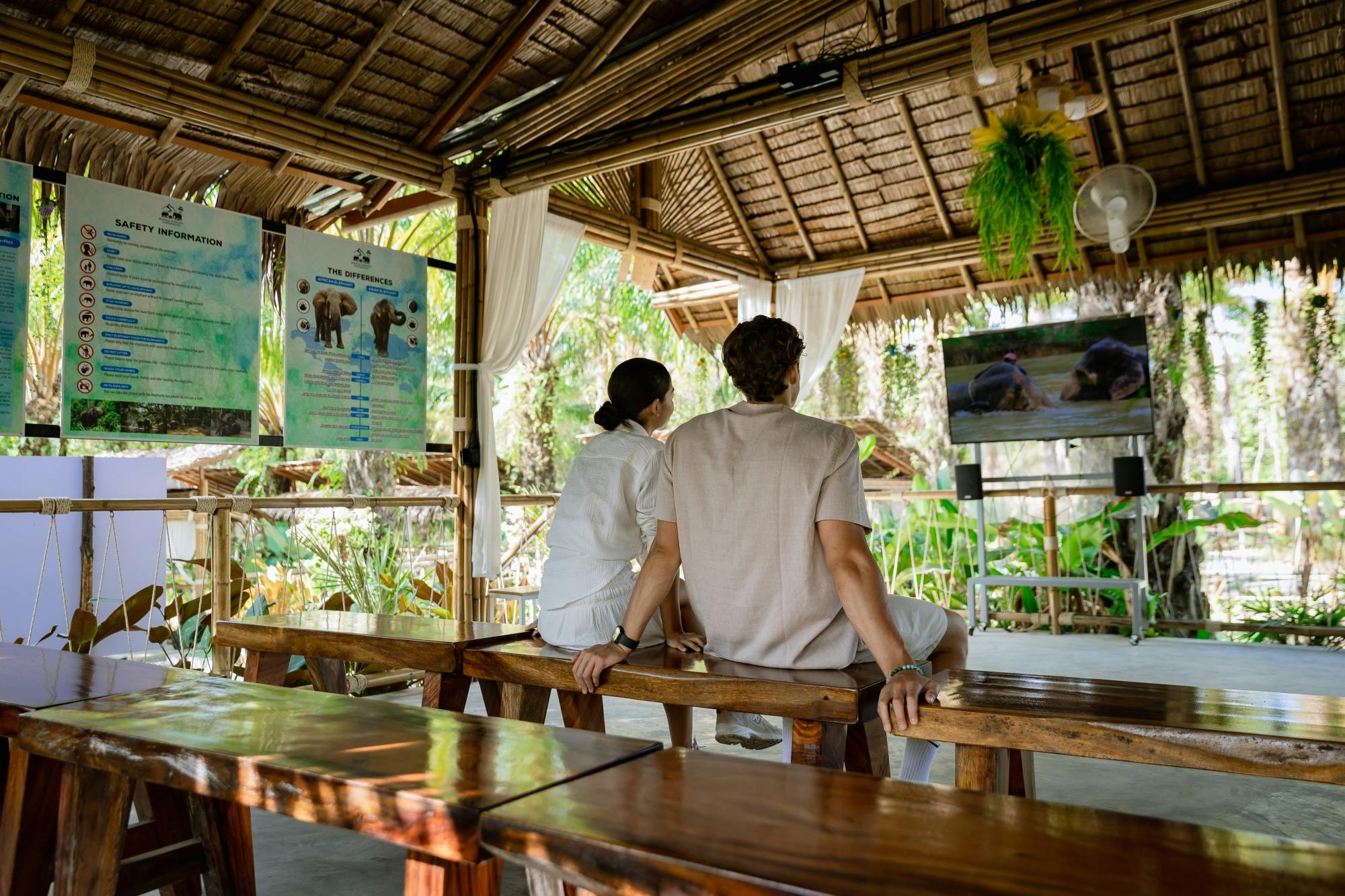 Half-day essence of elephant care experience from Khao Lak