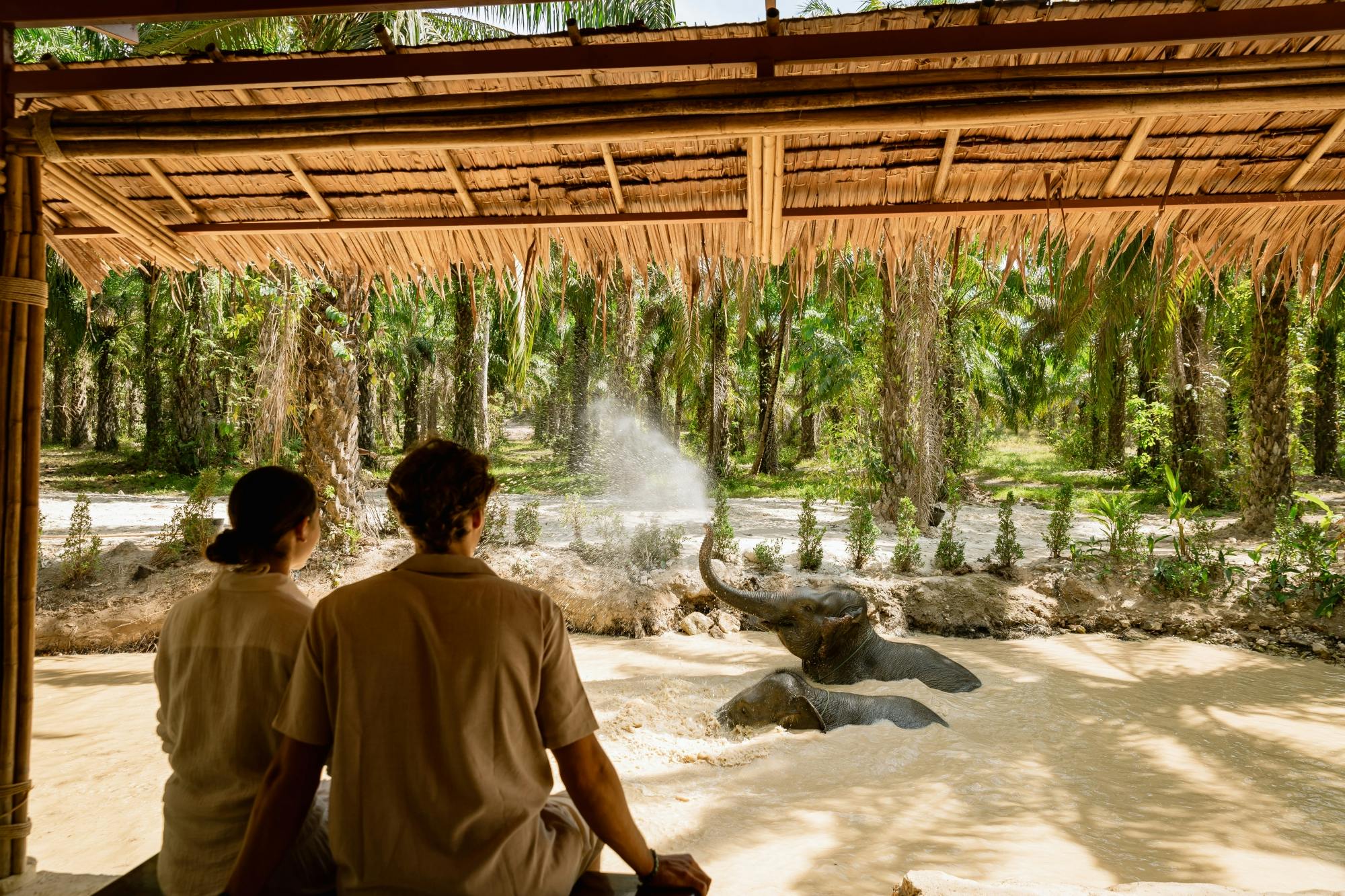 Half-day beyond elephant care experience from Khao Lak
