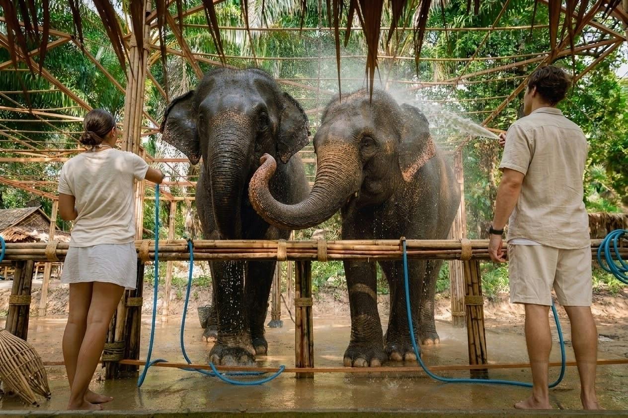 Half-day beyond elephant care experience from Khao Lak