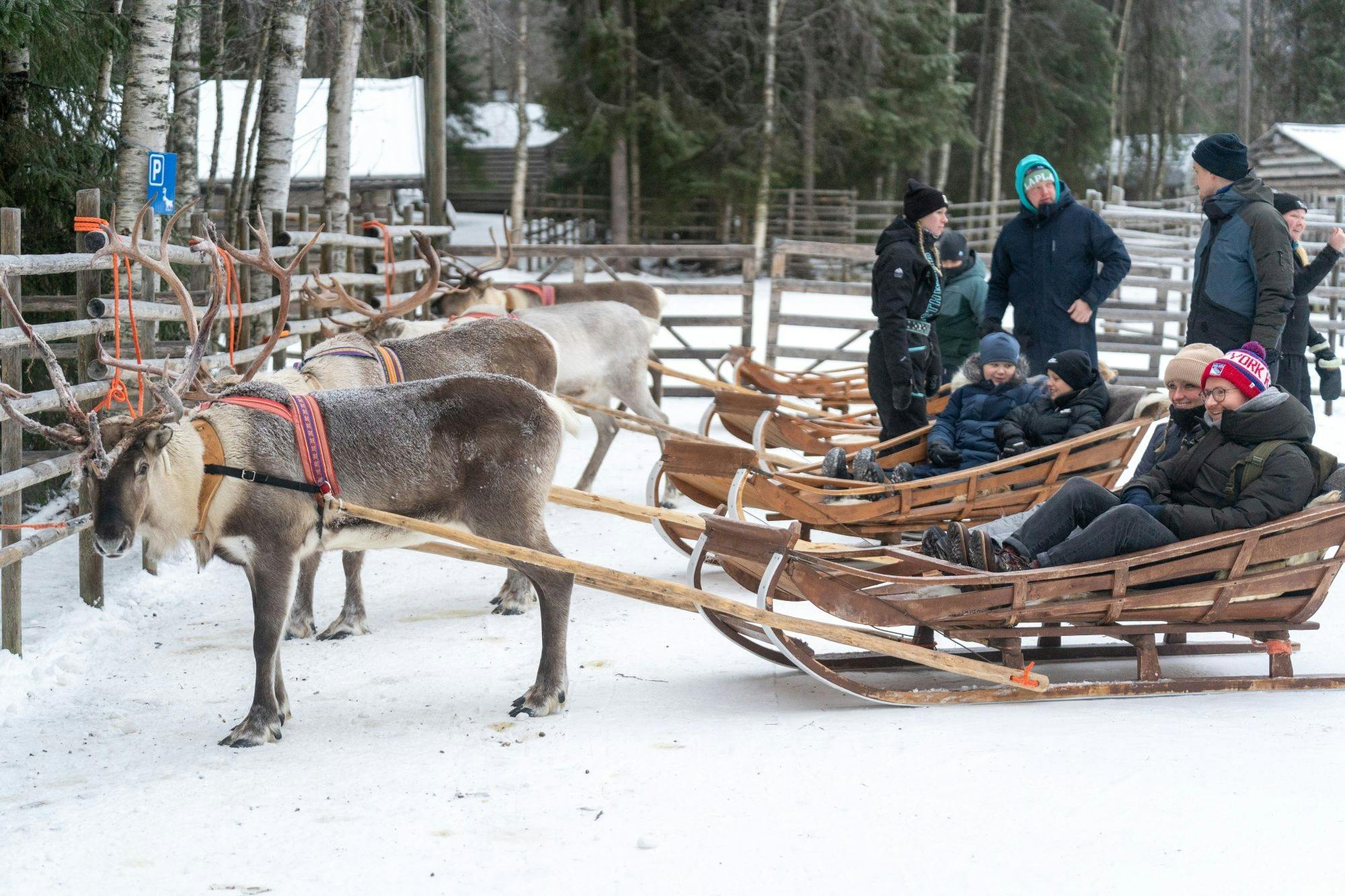 Reindeer Farm Visit and Sleigh Ride