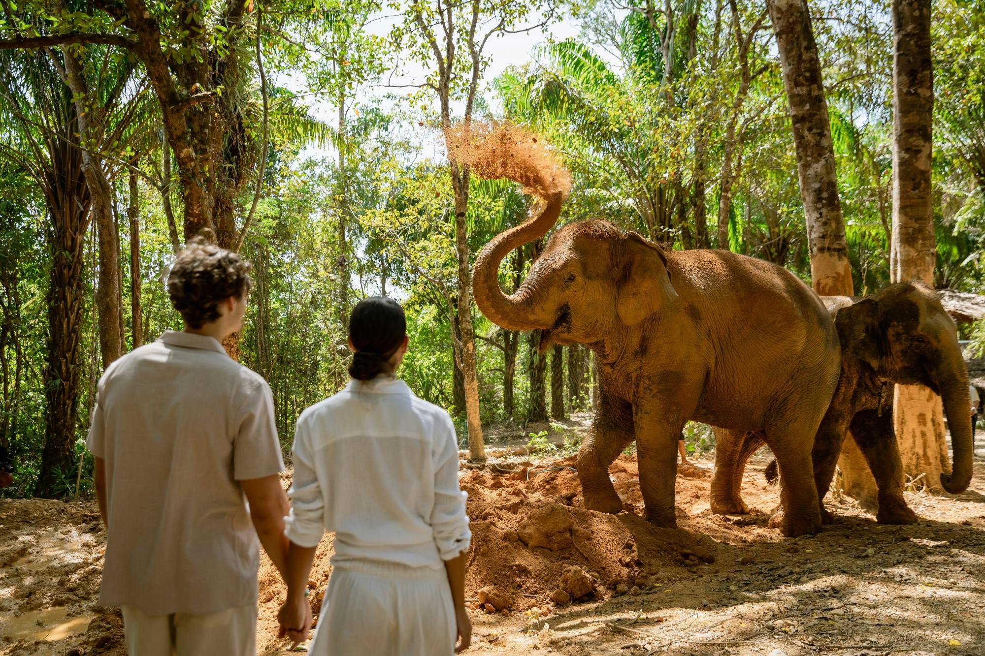 Half-day beyond elephant care experience from Khao Lak