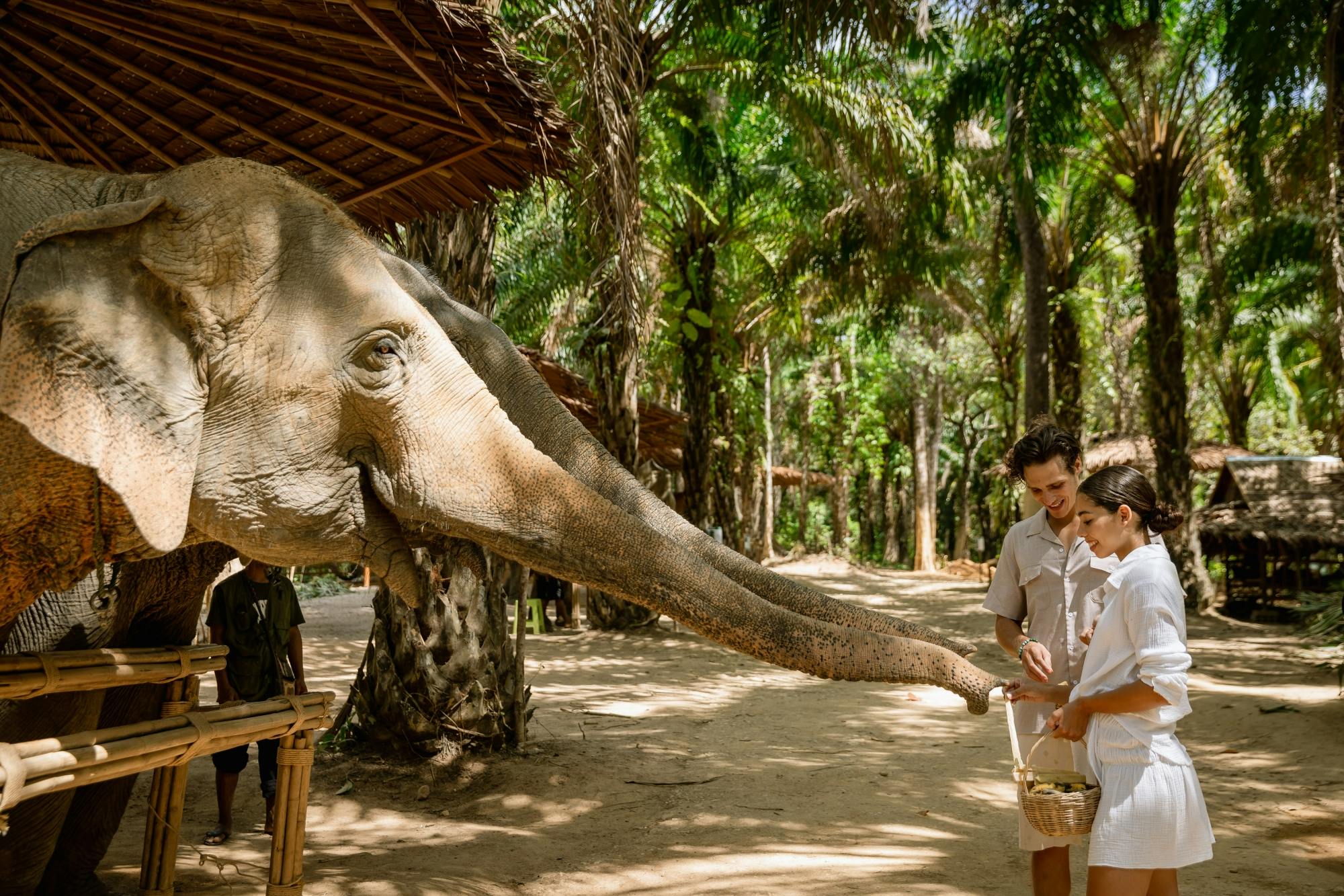 Half-day beyond elephant care experience from Khao Lak