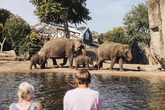 Entrada al Zoo Real de Ámsterdam (ARTIS)