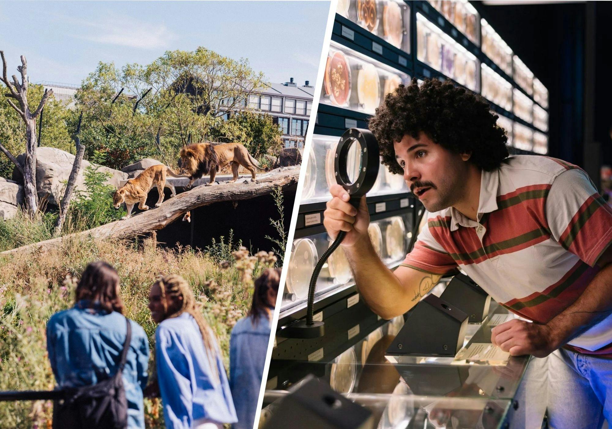 Entrada para el Artis Royal Zoo y Micropia
