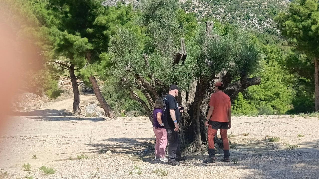 202610086ac8132735437.jpeg