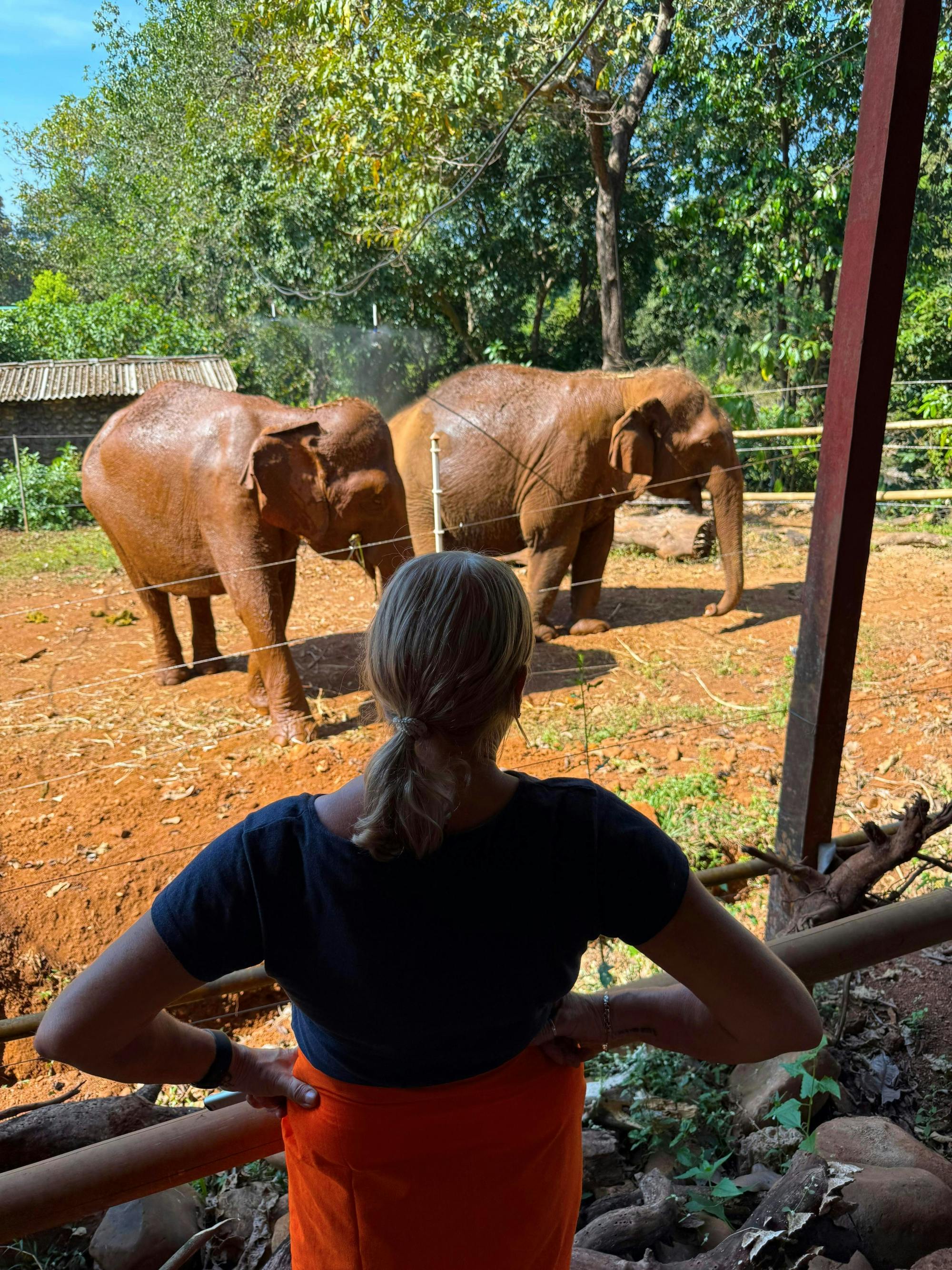 Goan jungle village tour with elephant experience